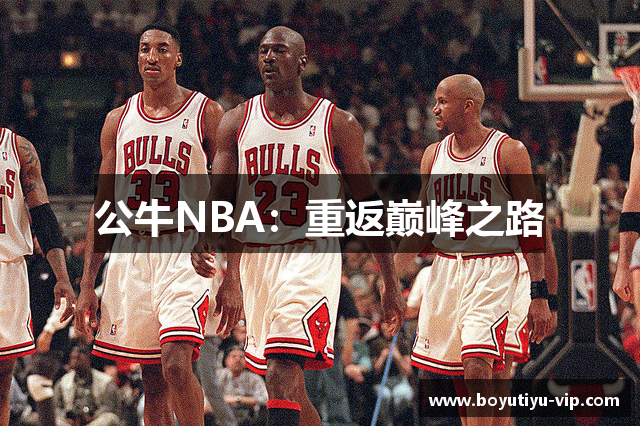 公牛NBA：重返巅峰之路